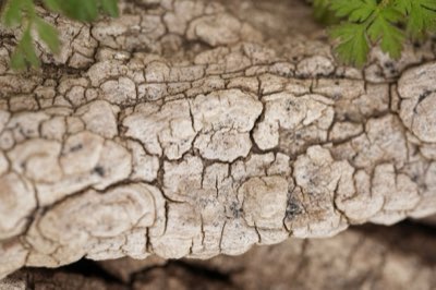 Nagelvorbereitung: Die 4 Schritte für eine gesunde Basis